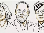 Giải Nobel Y sinh 2025: Khám phá cơ chế điều hòa hệ miễn dịch